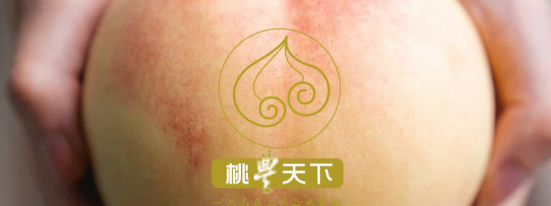 水蜜桃品种