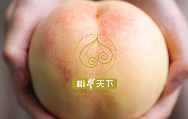 水蜜桃品种