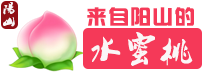 桃豊天下~一只与众不同的水蜜桃